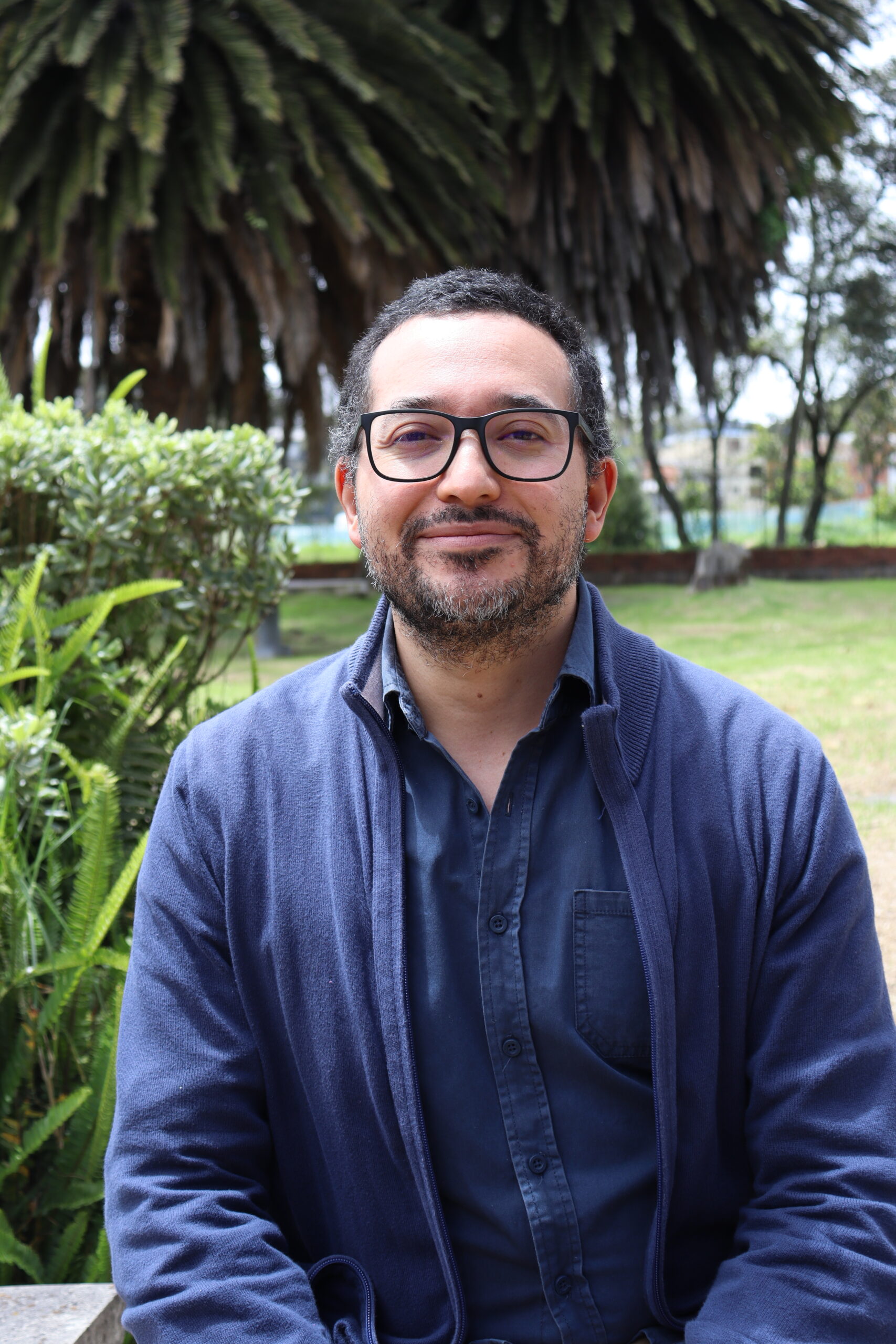 Diego Felipe Mendoza Osorio