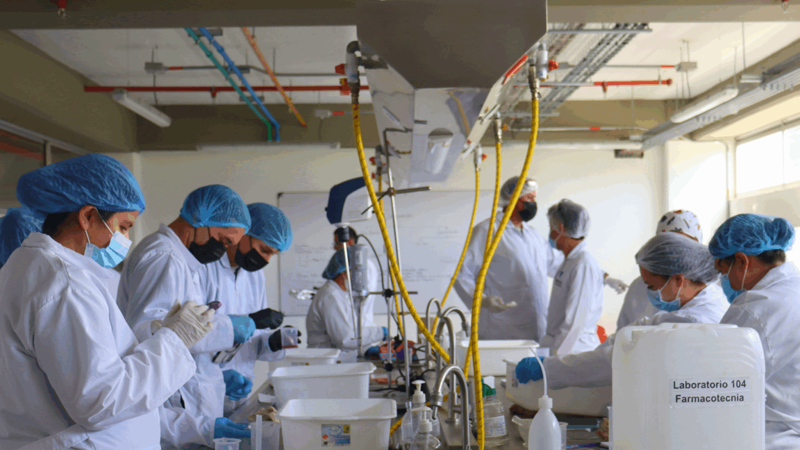 Alianza interinstitucional permite llevar la teoría a la práctica