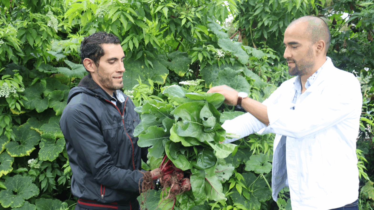 Huerta agroecológica en el Campus Don Bosco – Cultivando sostenibilidad y salud