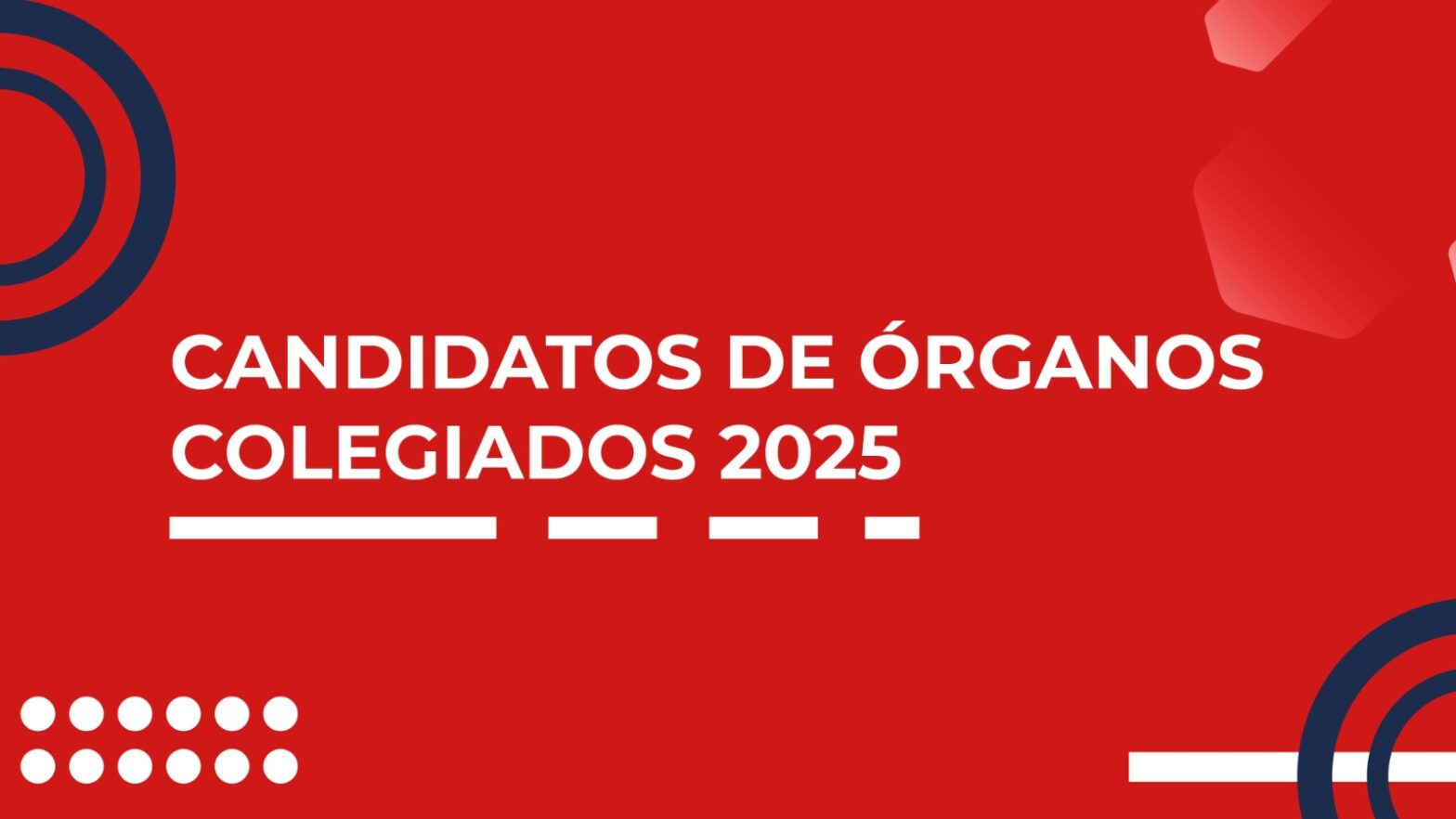 Candidatos a Órganos Colegiados 2025